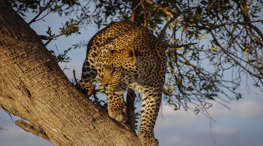 what types of wildlife photography tours are offered