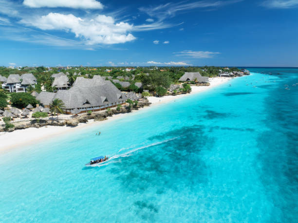 zanzibar vacation and wildlife safari combo